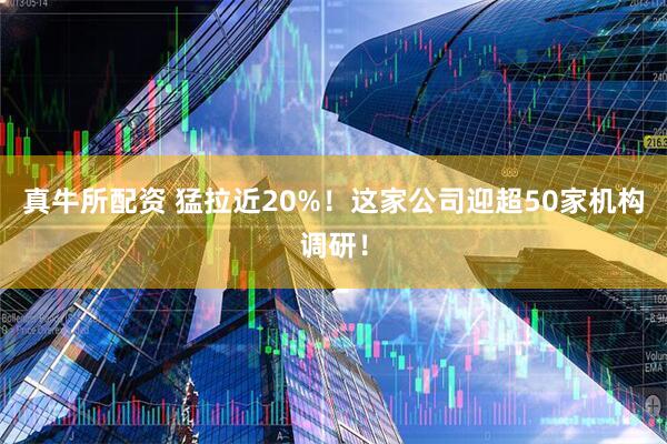 真牛所配资 猛拉近20%！这家公司迎超50家机构调研！