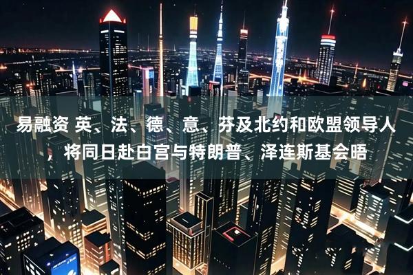 易融资 英、法、德、意、芬及北约和欧盟领导人，将同日赴白宫与特朗普、泽连斯基会晤