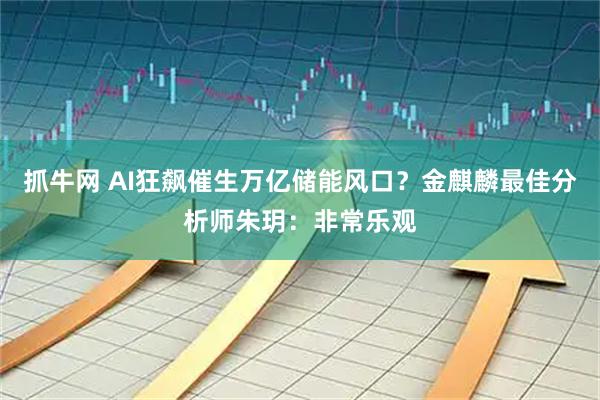 抓牛网 AI狂飙催生万亿储能风口？金麒麟最佳分析师朱玥：非常乐观