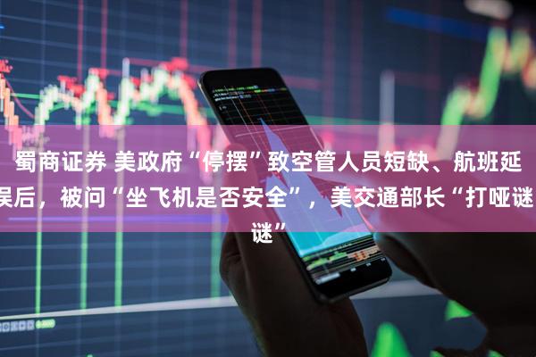 蜀商证券 美政府“停摆”致空管人员短缺、航班延误后,被问“坐飞机是否安全”,美交通部长“打哑谜”