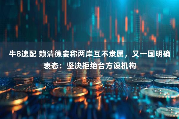 牛8速配 赖清德妄称两岸互不隶属,又一国明确表态:坚决拒绝台方设机构
